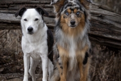633A0801-ECHO-PIPER-FACING