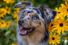 633A3415-ECHO-SMILING-copy