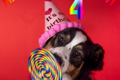 633A4255-HAPPY-BIRTHDAY