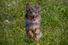 633A4356-ECHO-RUN-copy