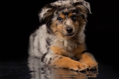 633A6511-CUTE-ECHO