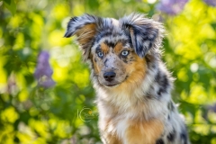 633A6536-PORTRAIT-ECHO