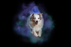 633A9157-SPIRIT2-8X10