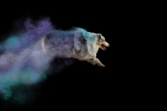 633A9161-SPIRIT3-8X10