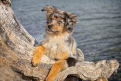633A9556-HANDSOME-ECHO-copy