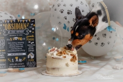 1_633A2734-BIG-BITE-RIGHT