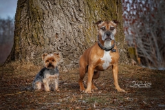 633A2565-ZEUS-CARL