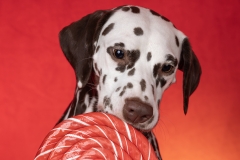 633A2939-ZOE-RED-GRAD