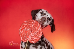 633A2943-ZOE-RED-LOLLY