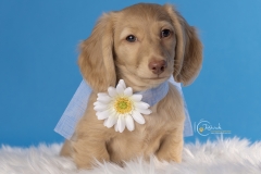 633A1107-CUTE-MATTEO
