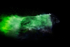 633A5826-CHRIS1-SAWICKI