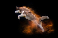 633A5864-GRIFFON-SAWICKI