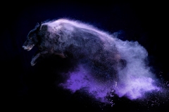 633A5876-CHRIS2-SAWICKI