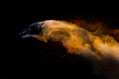 633A5930-LOUPE1-SAWICKI