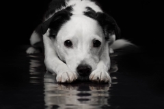 633A6514-PIPER-REFLECT