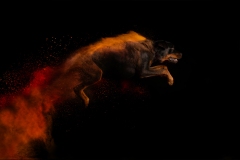 633A9090-GOOFY2-8x10