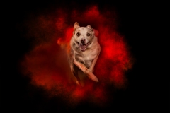 633A9112-SPRINT1-8x10