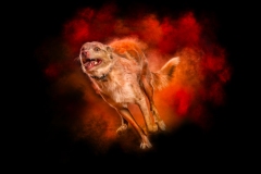 633A9133-SPRINT2-8X10