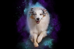 633A9156-SPIRIT4-8X10