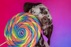 633A2898-ZOE-GRAD2-LOLLY