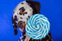 633A2907-ZOE-BLUE-LOLLY
