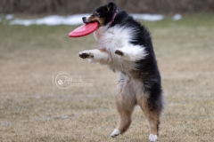 633A9521-8x10-WM