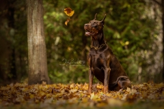 633A2988-SMILING-AT-LEAF-HECTOR-8x10