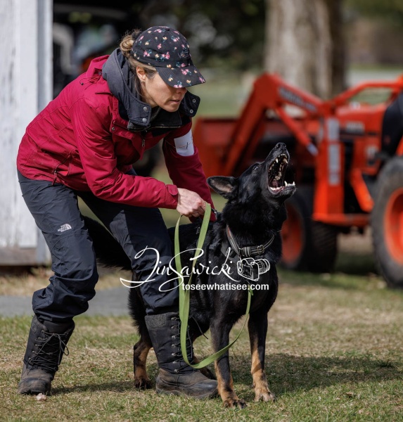633A0635-GERMANSHEPHERD