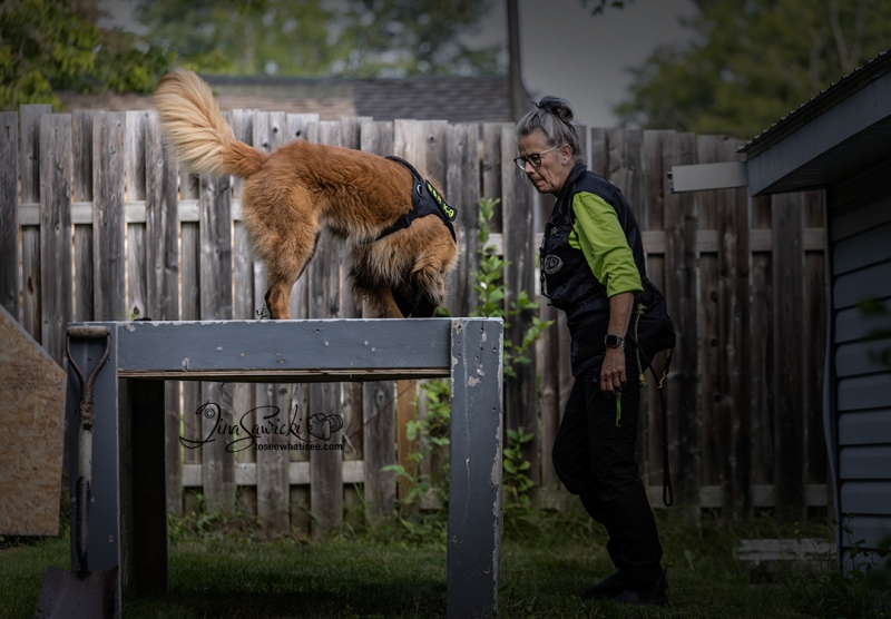 Mal Searching Table