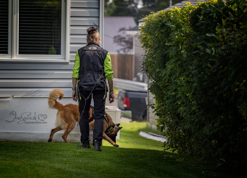 Searching House Perimeter
