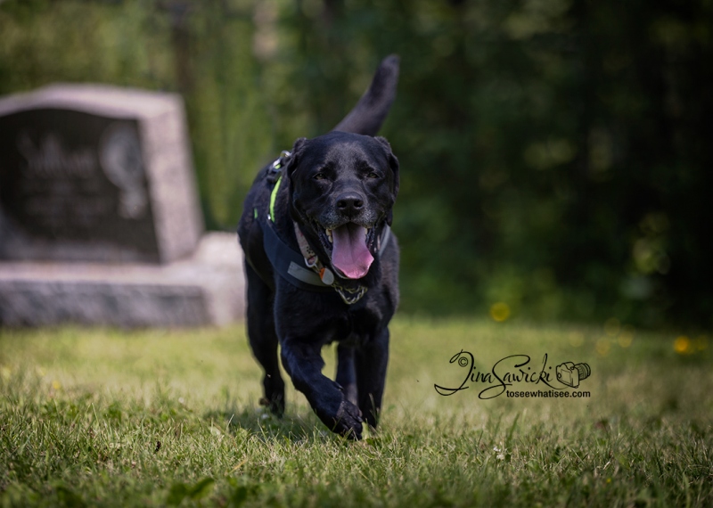 Happy in the Heat!