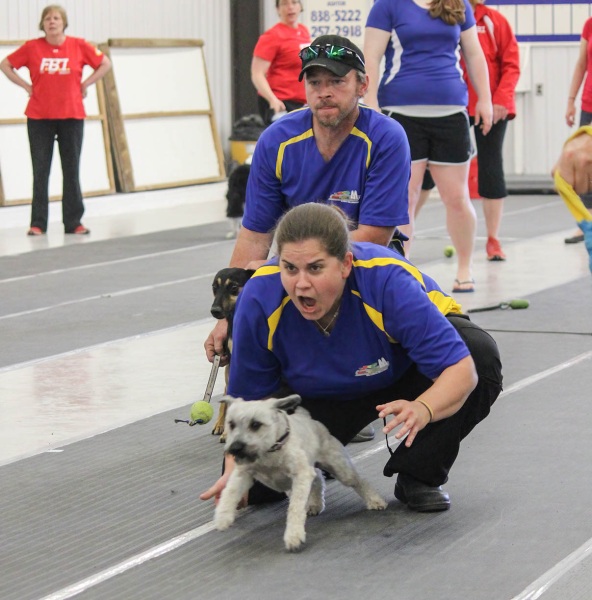FLYBALL2