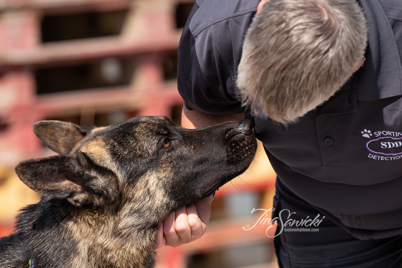 SDDA Scent Detection Judge Love