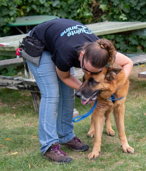SDDA Scent Detection Wrangler