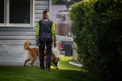 Searching House Perimeter