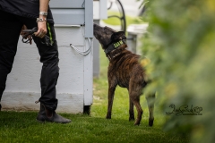 Clearing the Crawl Space