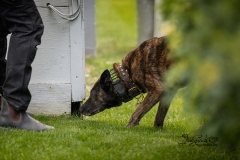 Clearing Crawl Space Carefully