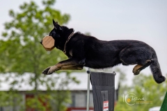 0623-WM