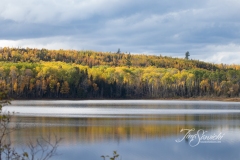 Elk Lake
