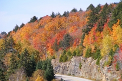 Roads of Algonquin