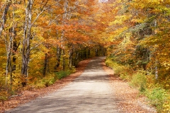 All Roads Lead to Fall