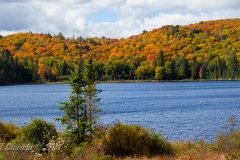 Algonquin in the Fall