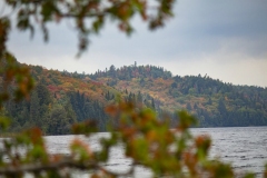 Fall Peeking Through