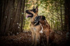 Josie and Kane