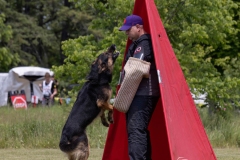 0994-WM