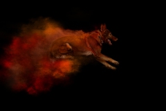 633A6363-RIOT-SIDE-8X10