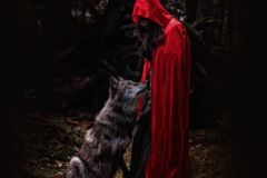 Artistic Session Lobo