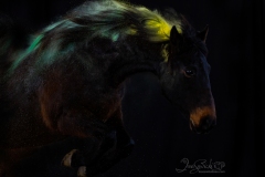 Powder Shoot with Blue