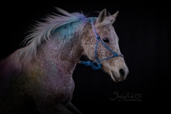 Powder Shoot with Grace