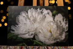 DOUBLE-PEONY-8X12